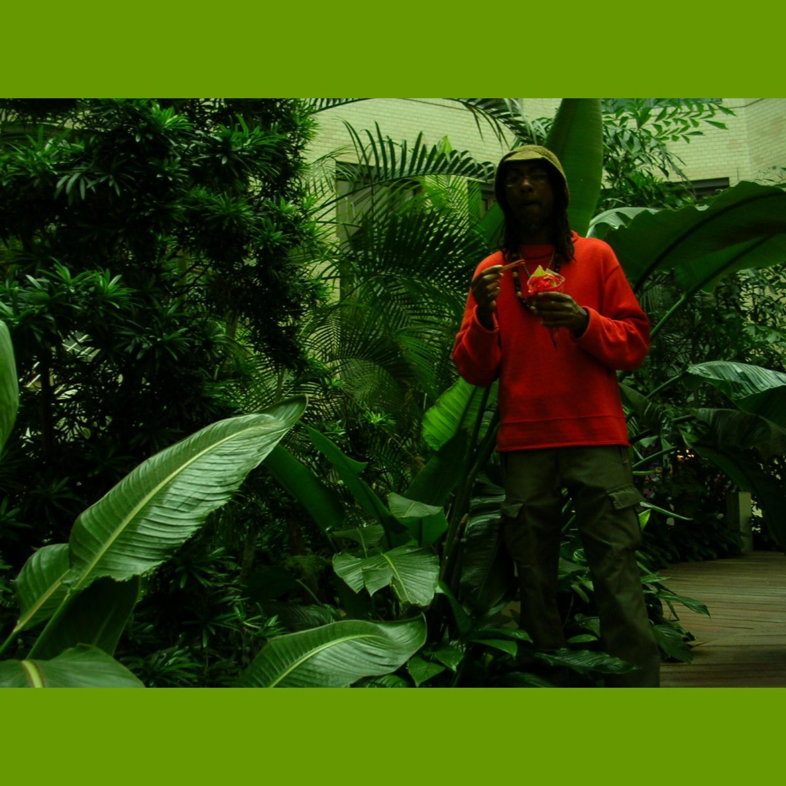 tribal house umm umm umm