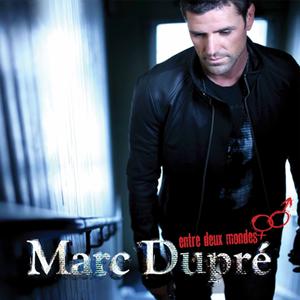 Y'a pas de mots - Céline Dion in duet with Marc Dupré (Karaoke Version) 带和声伴奏