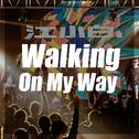 Walking On My Way专辑