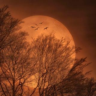 《长安十二时辰》电视剧原声（古装剧）