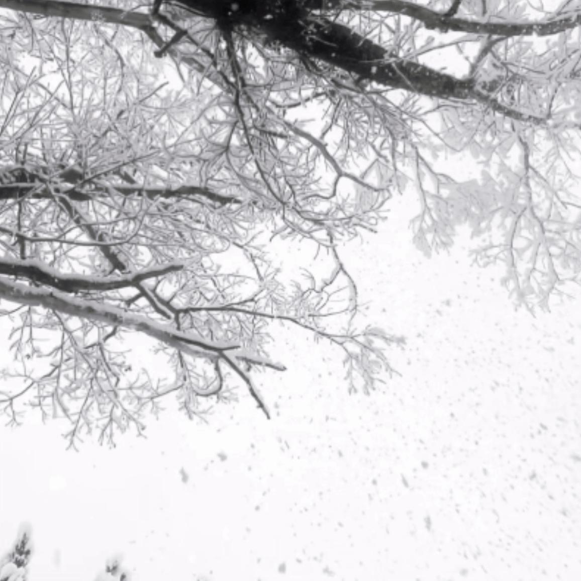 Call me（木月 remix）