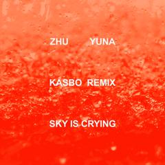 Sky Is Crying (Kasbo Remix)