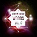 Hidden In The Woods Vol.6专辑