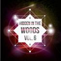 Hidden In The Woods Vol.6专辑