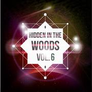 Hidden In The Woods Vol.6