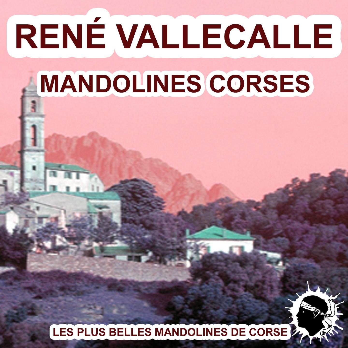 Les plus belles guitares et mandolines corses