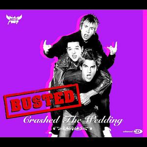 Crashed The Wedding - Busted) (AM karaoke) 带和声伴奏 （降1半音）