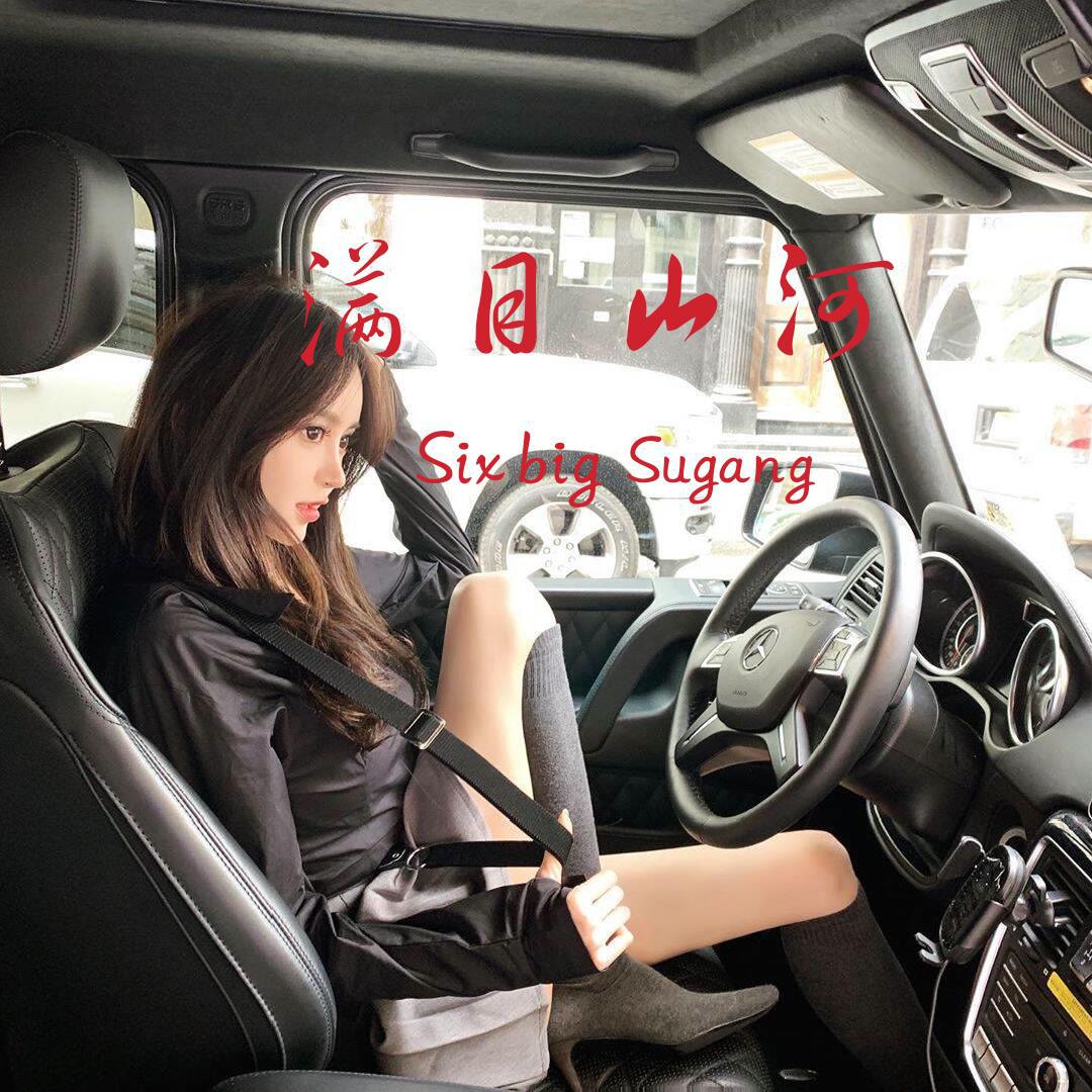 精彩苏刚歌曲封面