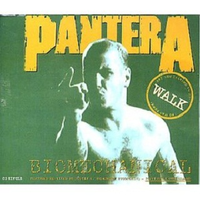 Walk - Pantera ( Karaoke2 )