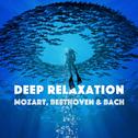 Deep Relaxation - Mozart, Beethoven & Bach专辑