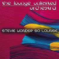 Stevie Wonder - Go Home (PT karaoke) 带和声伴奏