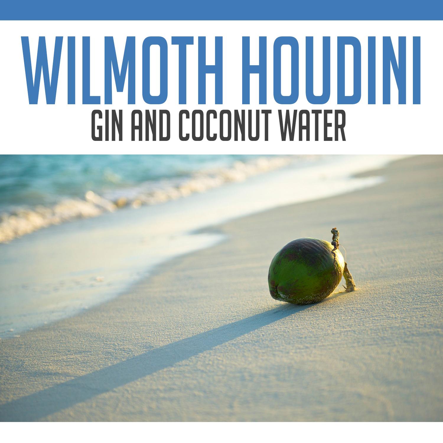 Gin and Coconut Water