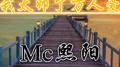 我太帅了万人爱专辑