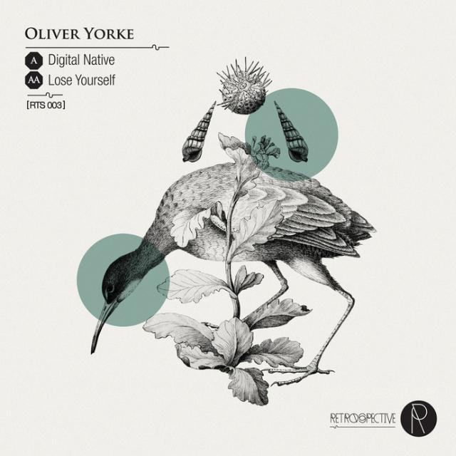 Oliver Yorke - Digital Native