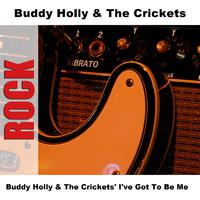 I've Got to Be Me - Buddy Holly & Mickey Gilly (PM karaoke) 带和声伴奏