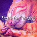 Storms For The Mind专辑