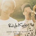 Down With The Trumpets (Remixes)专辑