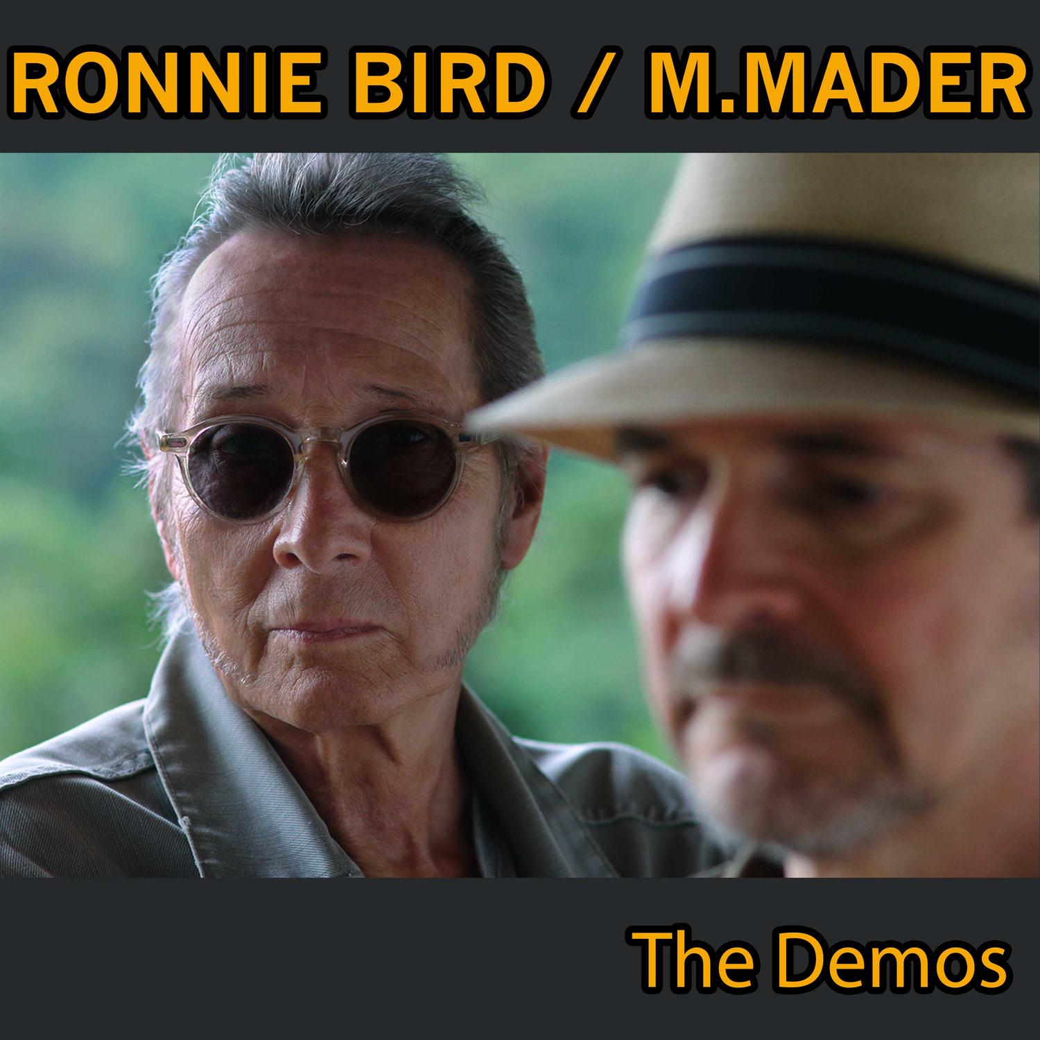 The Demos