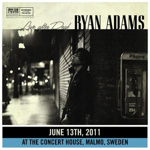 Ryan Adams - CHAINS OF LOVE （升2半音）