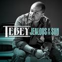 Jealous of the Sun专辑