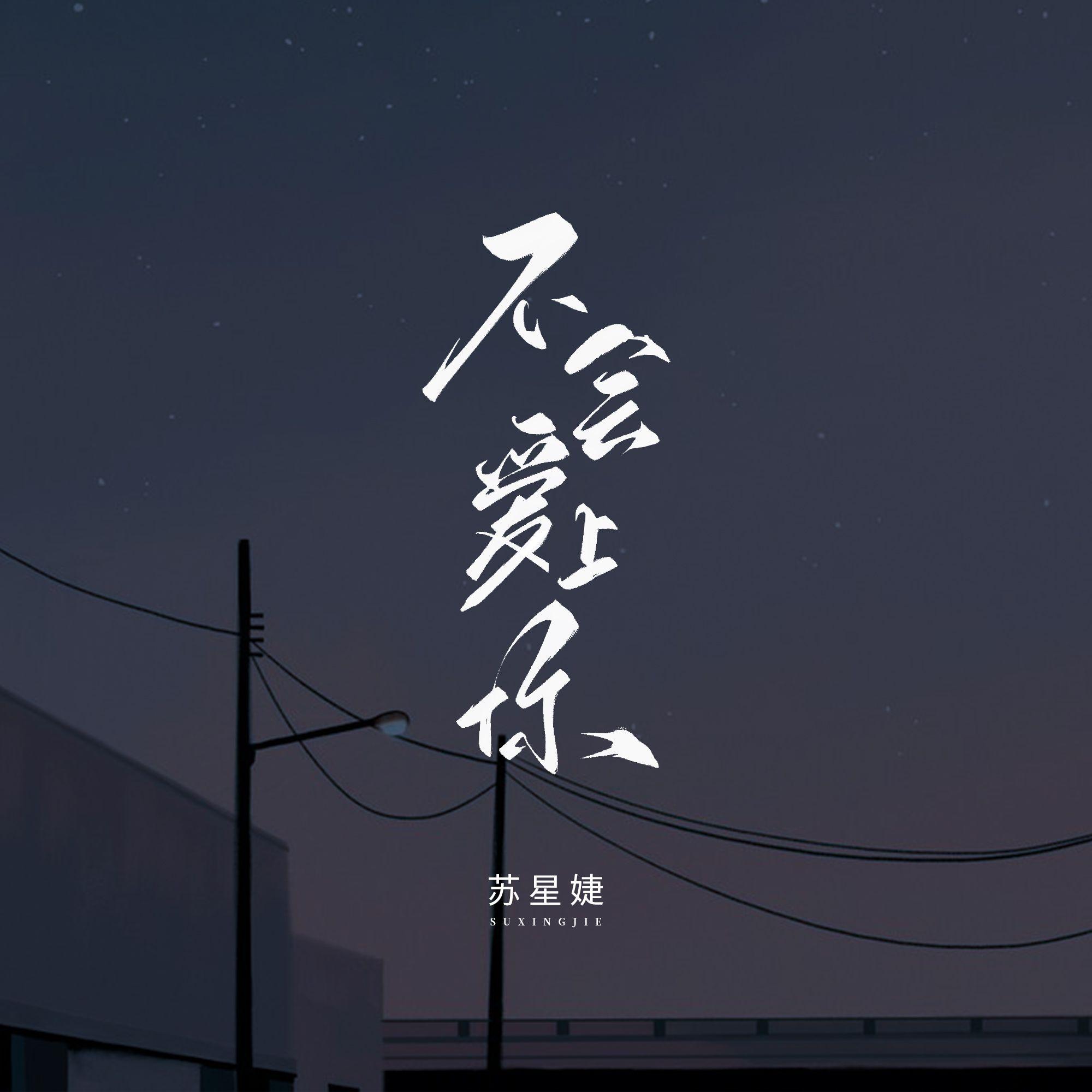 不会爱上你