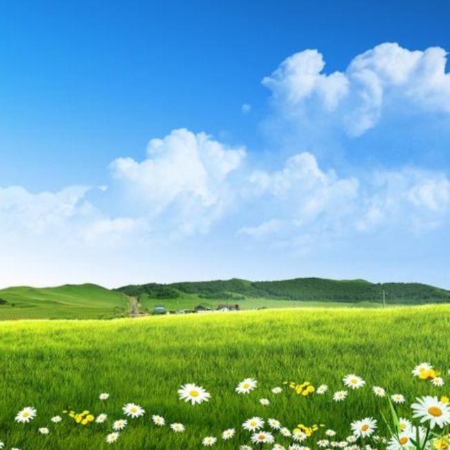 Koklam (吉他版）