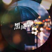 黑凤梨2MIX（翻自 洛天依）（Cover 洛天依）