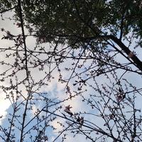 罚酒饮得