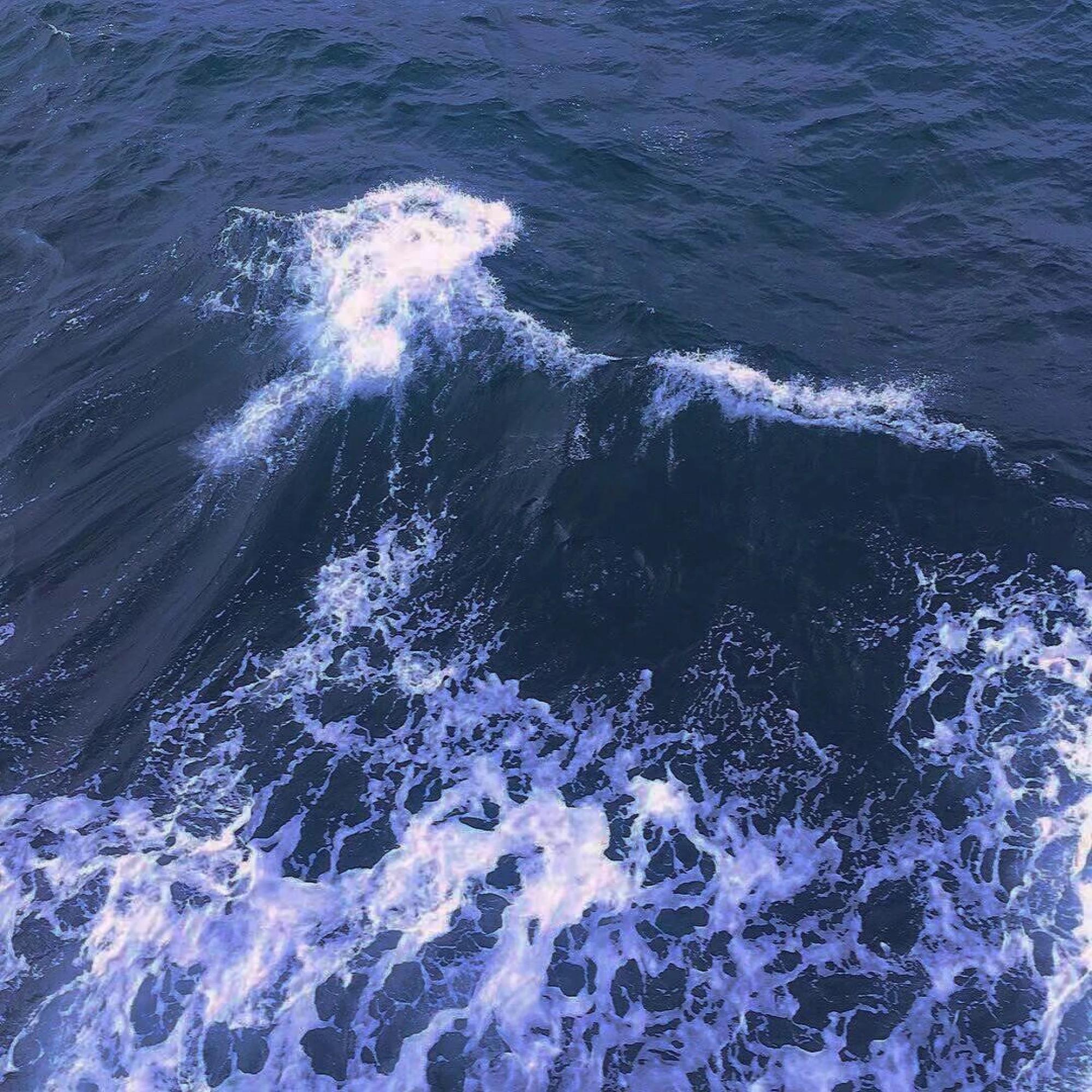 包容
