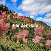 Random Life(Original 2017 Mix)