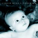Liquid Mind V: Serenity专辑