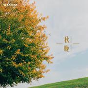 秋晚