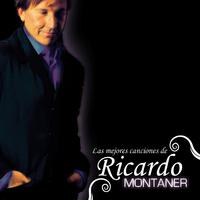 Ricardo Montaner - Tan Enamorados (karaoke) (2)