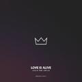 Love Is Alive (Louis The Child & Elohim Cover)