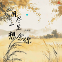 用尽一生想念你专辑
