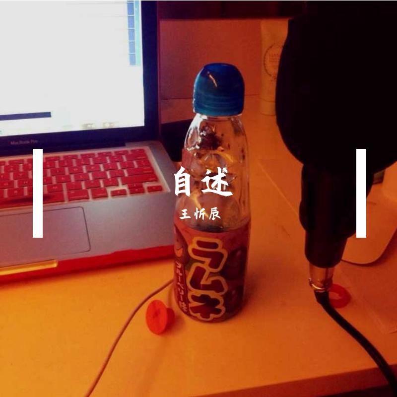 自述