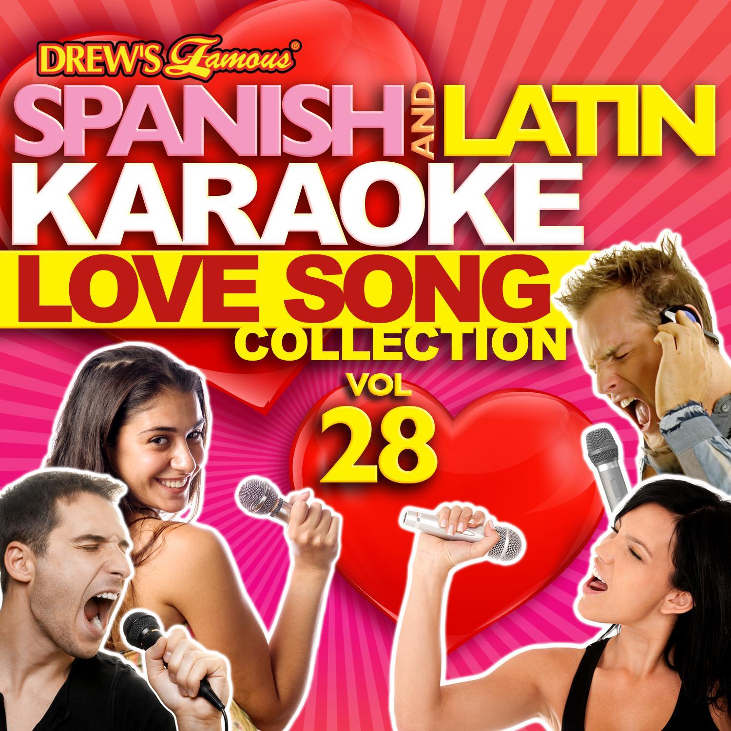 Spanish And Latin Karaoke Love Song Collection, Vol. 28
