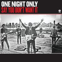Say You Don't Want It - One Night Only (HT Instrumental) 无和声伴奏