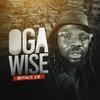 Skyface Joe - Oga Wise