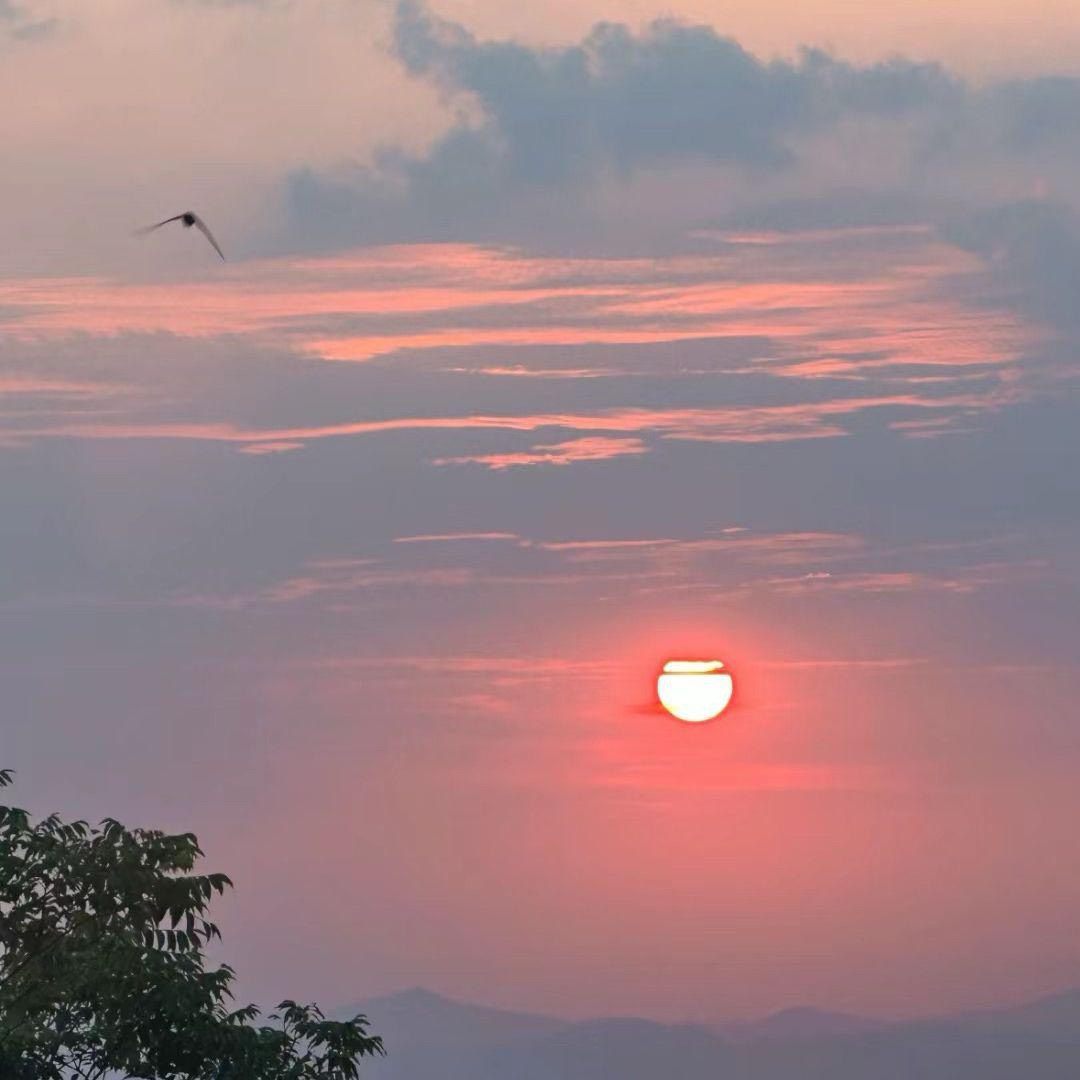 一百万个可能(在一瞬间有100万个可能)