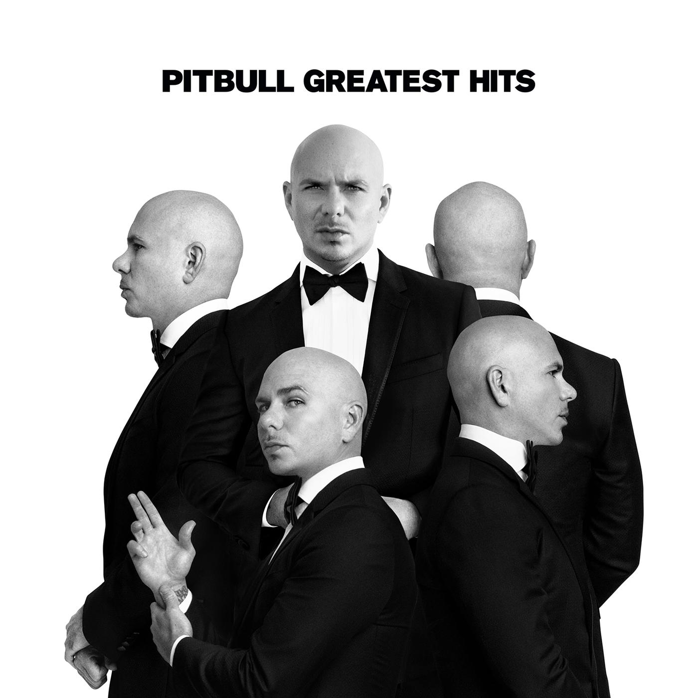 Pitbull - Don't Stop the Party