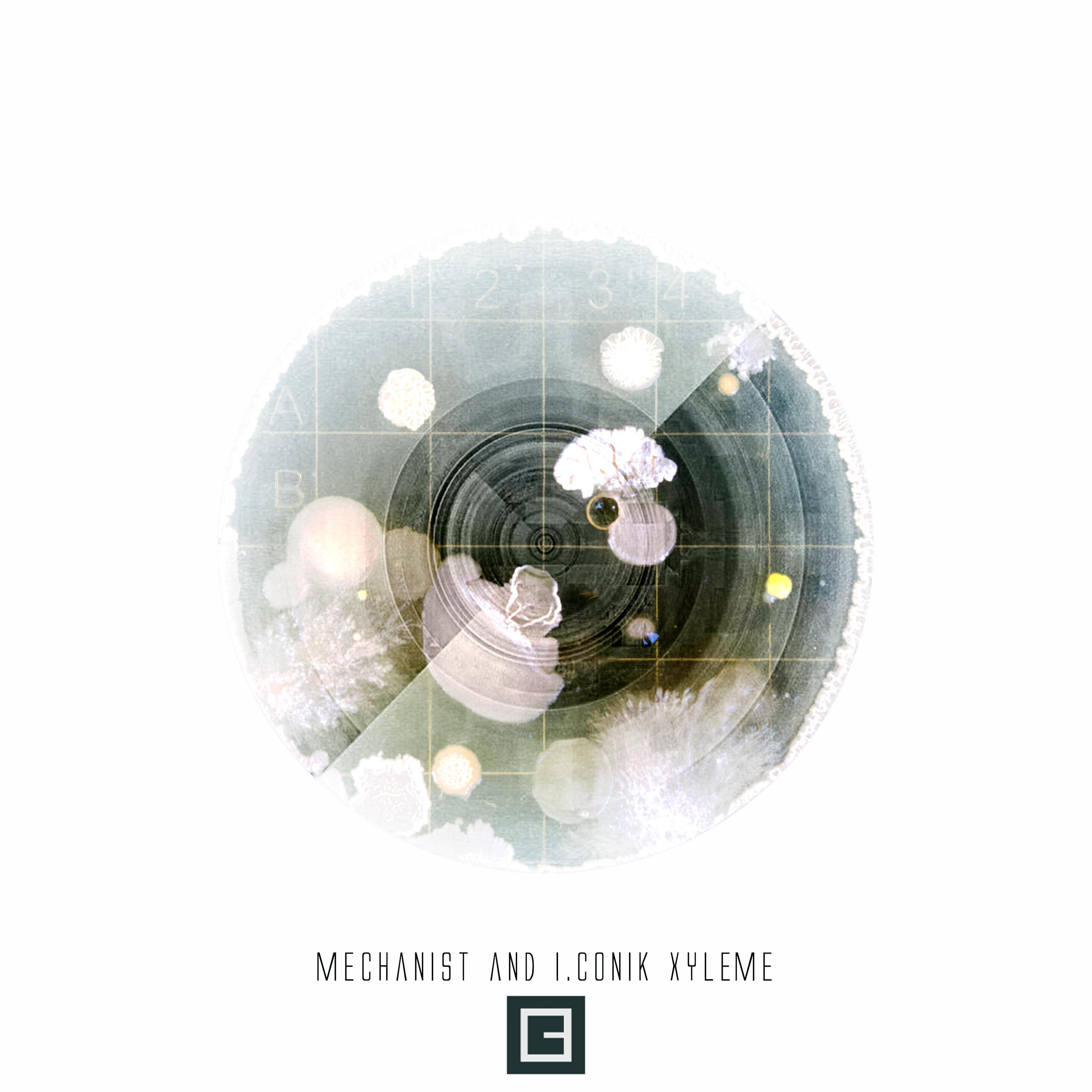 Xyleme