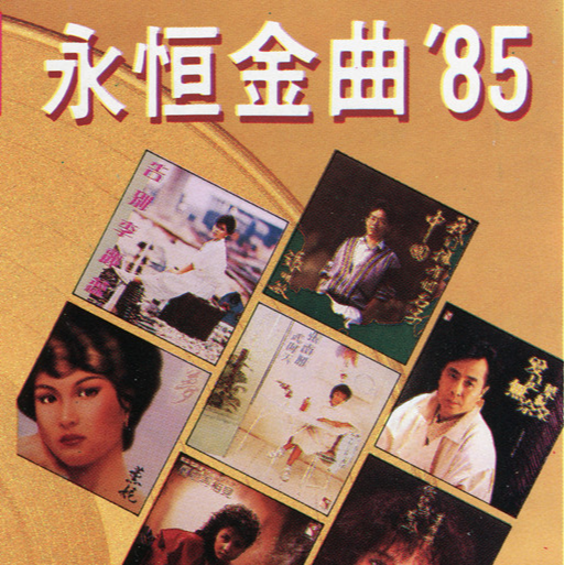 永恒金曲 85'