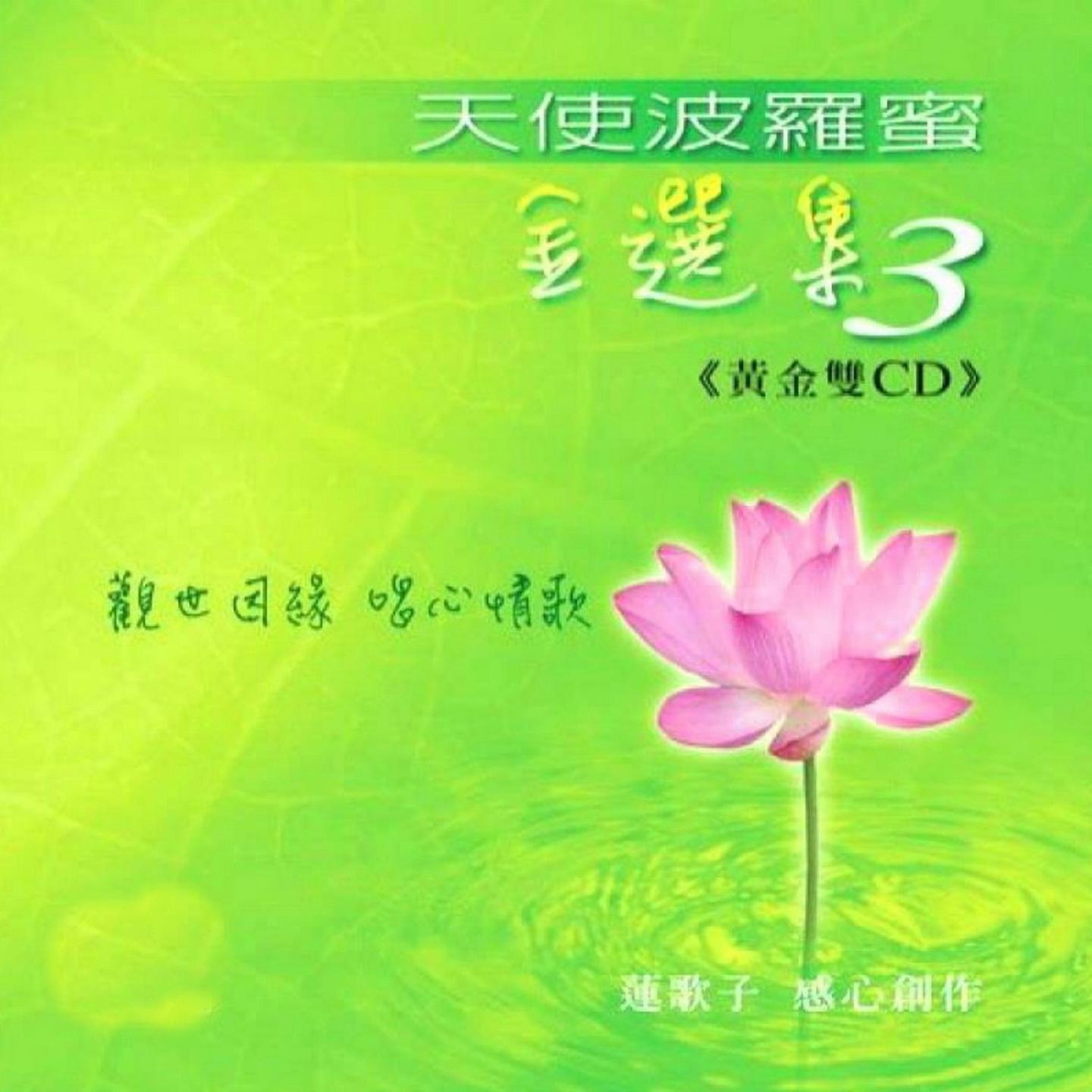 天使波罗密金选集3 (莲歌子 全心创作)