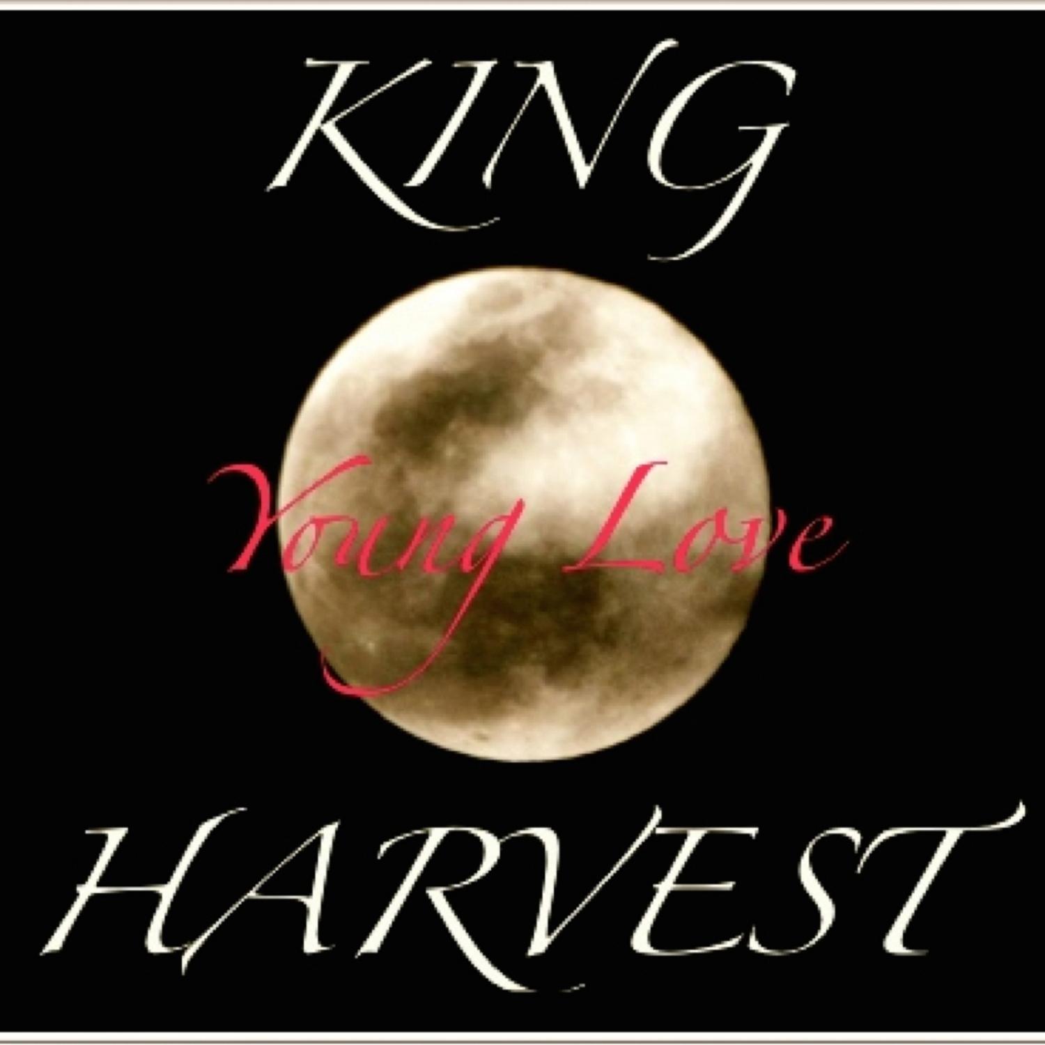 King Harvest - That's the Way Love Is