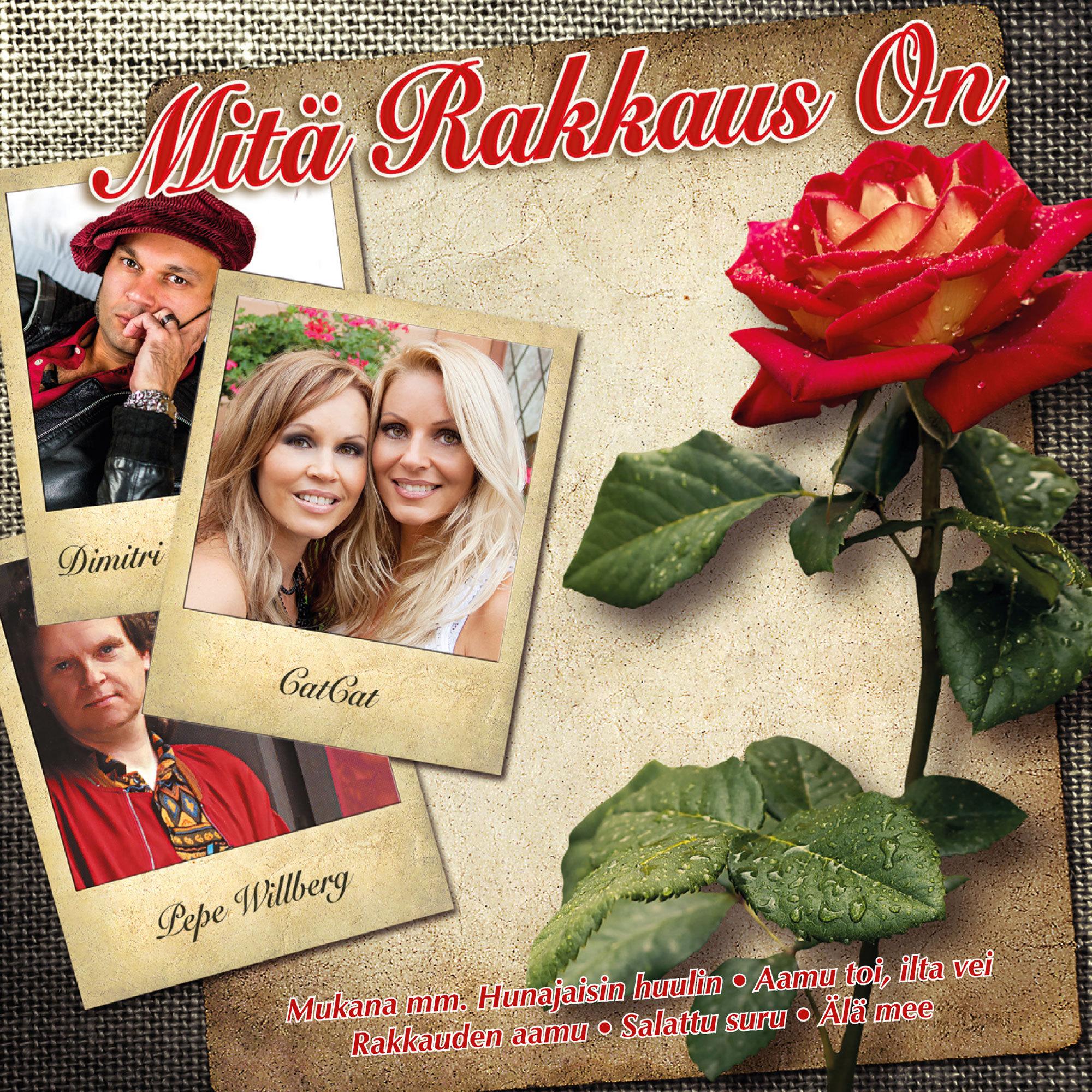 Mitä rakkaus on