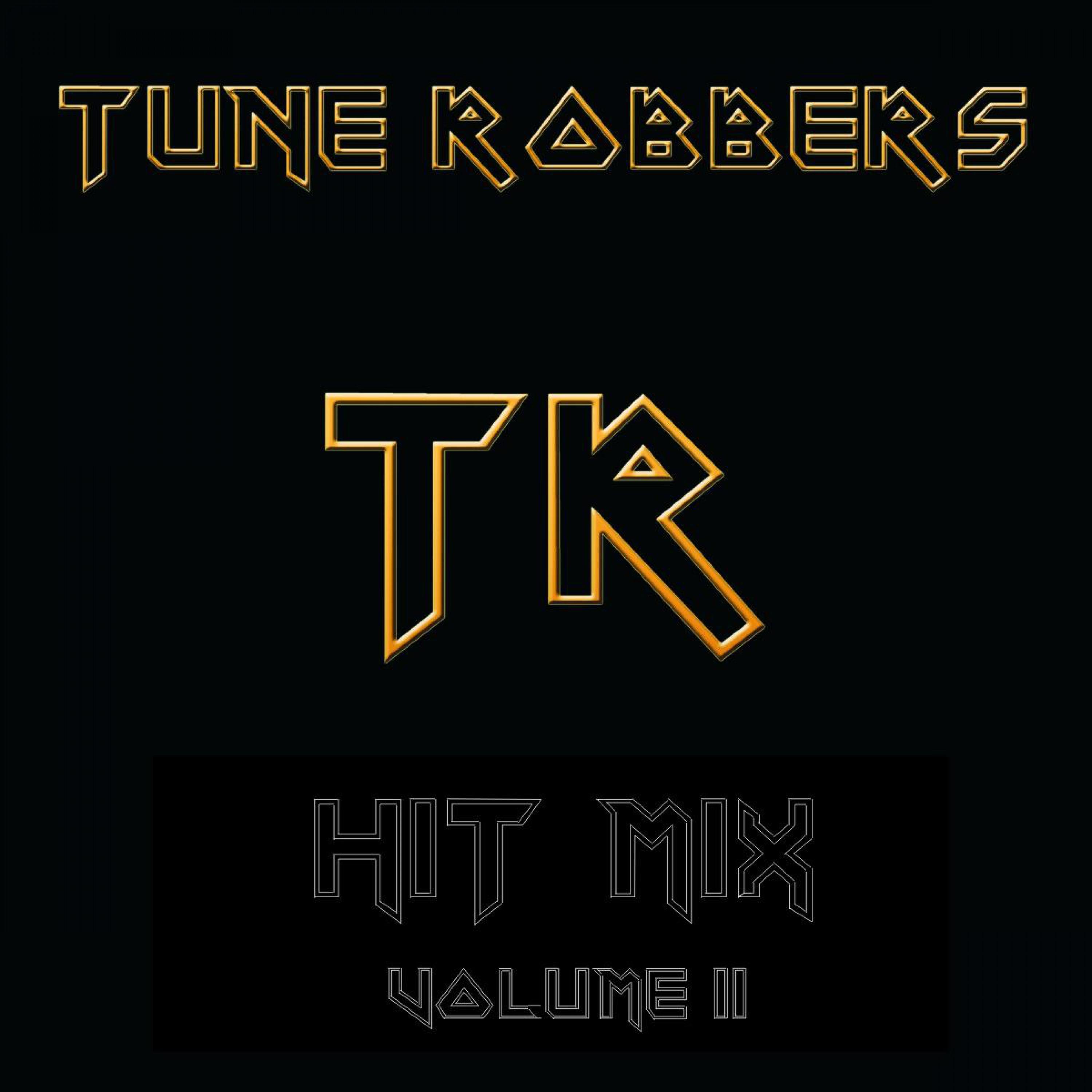 The Tune Robbers Play Hit Mix Vol. 2