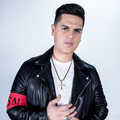 Regulo Caro