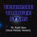 Pitbull feat. Akon - Mr. Right Now (Vocal Melody Version)
