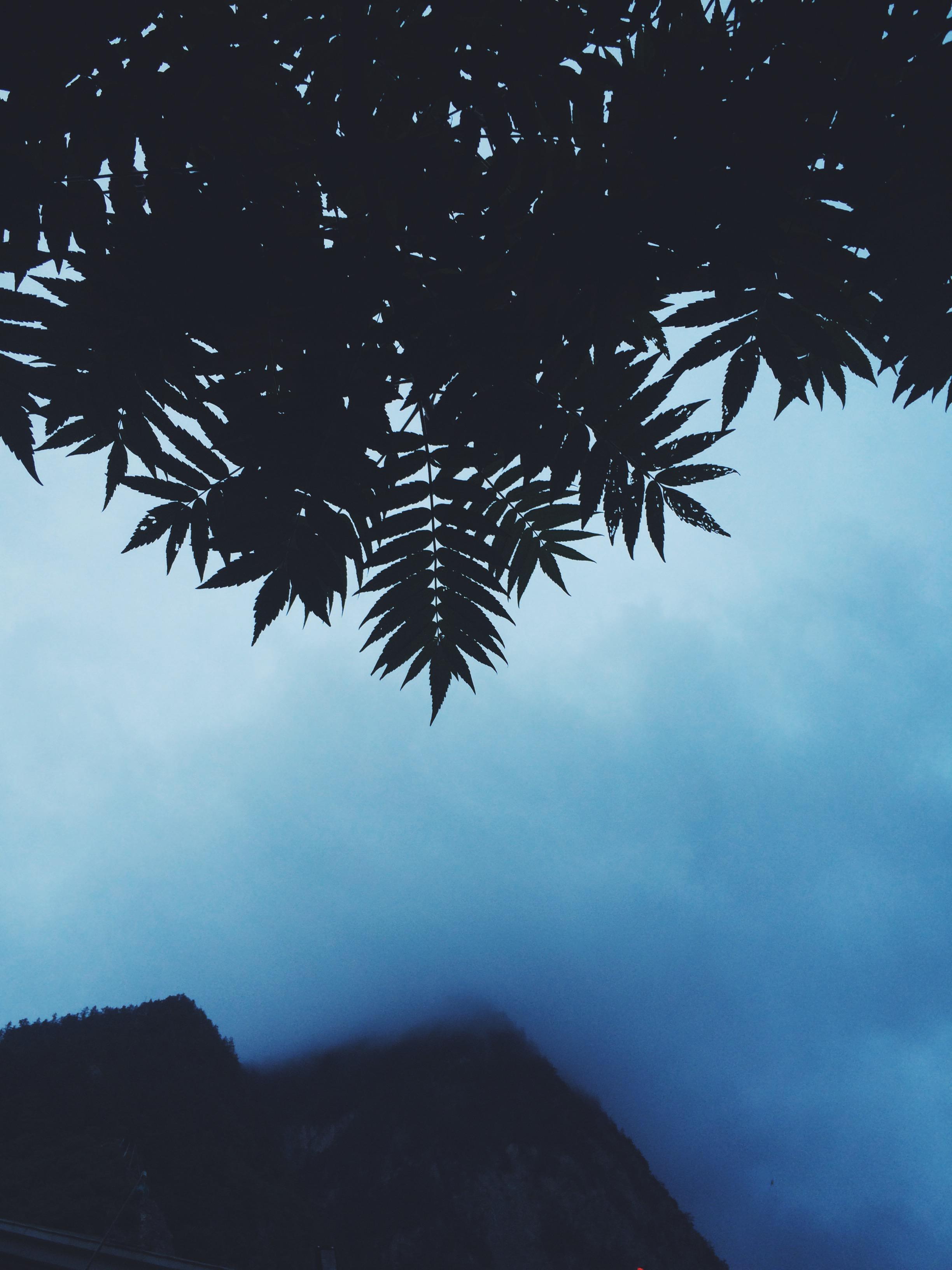 关于夏天的第二十七个原因